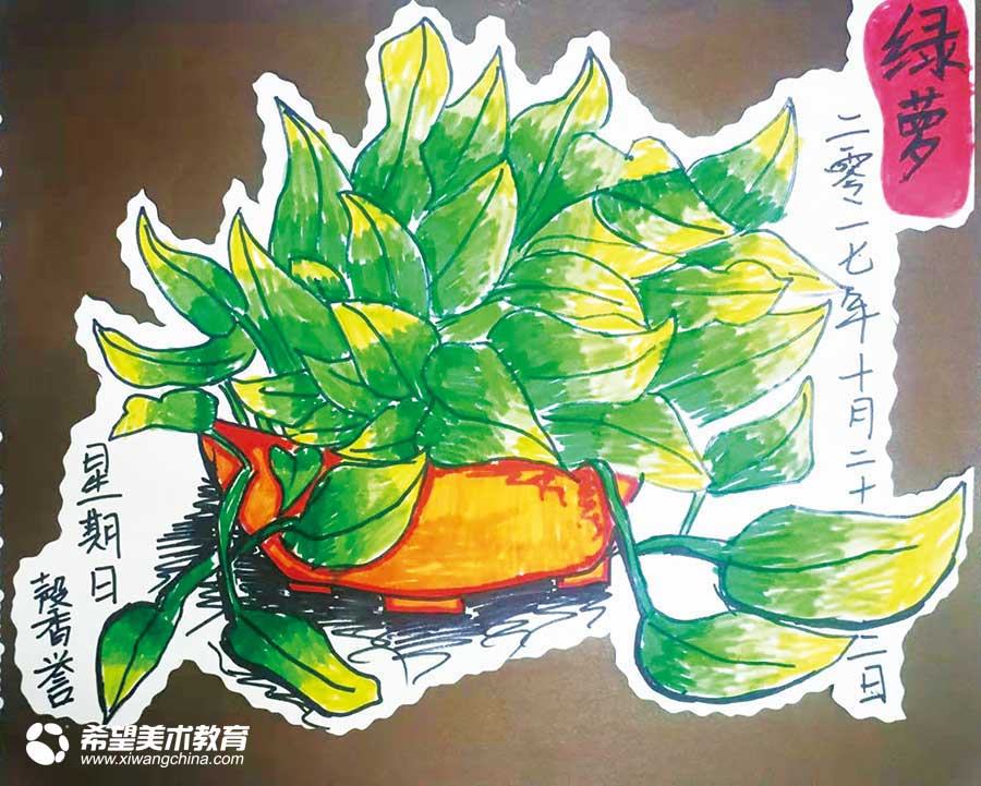 希望美术教育少儿美术作品绿萝