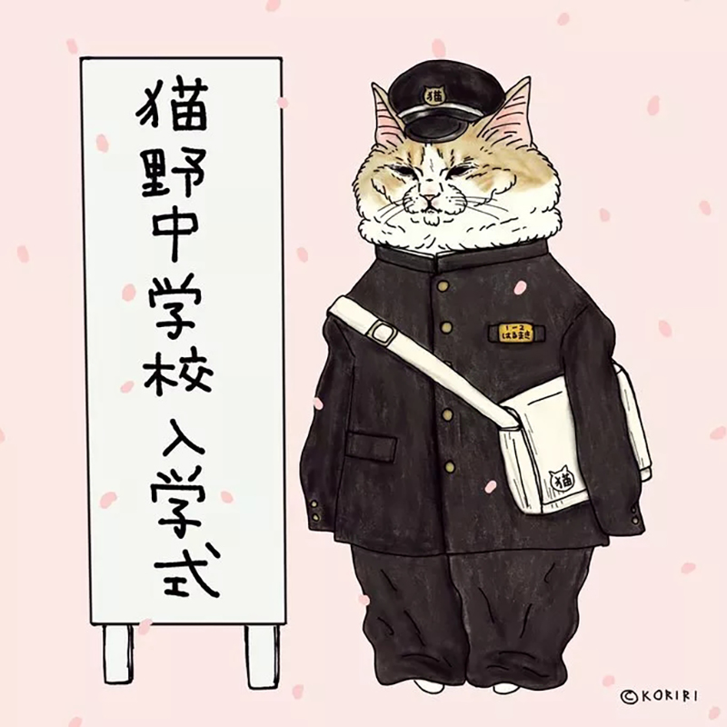 插画师笔下的肥猫