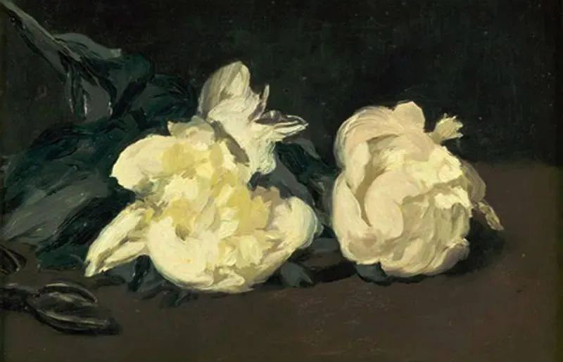 马奈-《白色牡丹花》希望美术教育