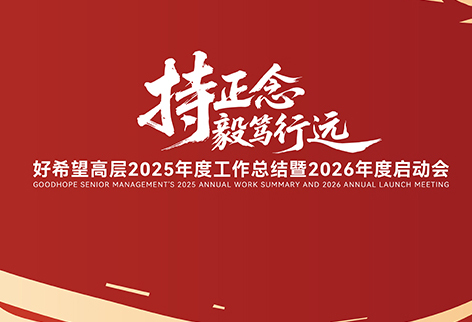 【持正念·毅笃行远】好希望高层2025年度工作总结暨2026年度启动会胜利召开希望美术教育